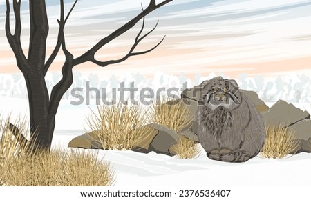 Manul sits in the snow near a large stone and tree. Wild animals of Asia in winter. Realistic vector landscape