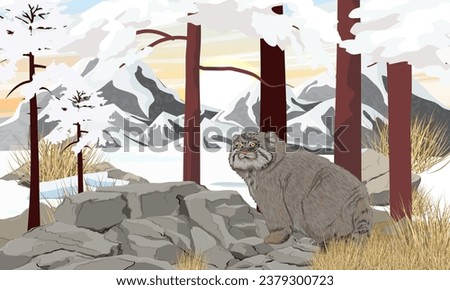 Pallas's cat stands on a stone in a mountain valley. Wild animals of Asia in winter. Realistic vector landscape