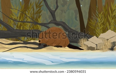 A beaver sits on the river bank near a fallen tree. Realistic vector landscape