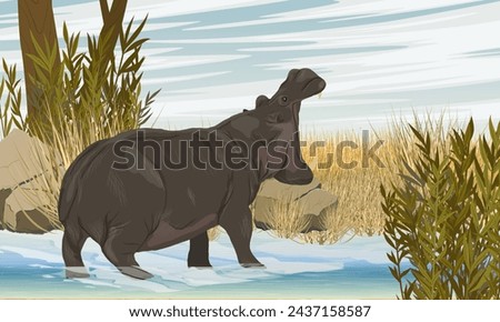 A large African hippo swims in the lake. Hippo yawns or growls. Wildlife of Africa. Realistic vector landscape