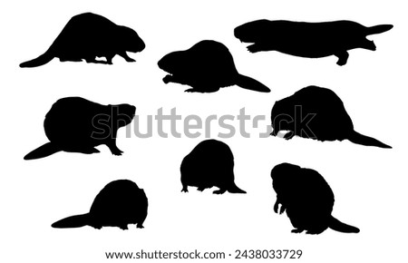Set of European beaver silhouettes. Vector animals