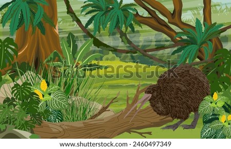 Kiwi bird looking for food in the jungle. Wildlife of New Zealand. Realistic vector landscape