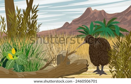 Kiwi bird walks in thickets of tropical plants in a valley at the foot of the mountains. Wildlife of New Zealand. Realistic vector landscape
