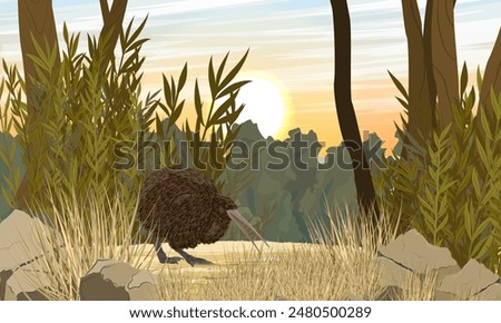 Kiwi bird walks in thickets of tropical plants. Wildlife of New Zealand. Realistic vector landscape