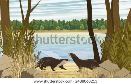 A pair of river otters on the river bank. Eurasian otter Lutra lutra, The Eurasian river otter. Realistic vector landscape