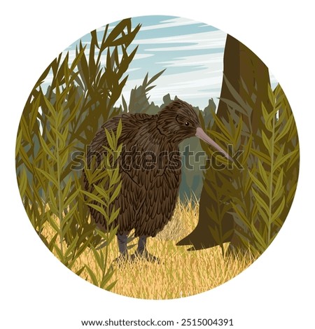 Round composition. Kiwi bird walks in thickets of tropical plants. Wildlife of New Zealand. Realistic vector landscape