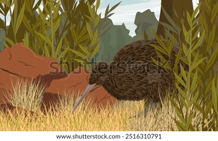 Kiwi bird looking for food in dry grass. Wildlife of New Zealand. Realistic vector landscape