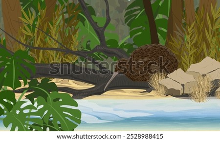 Kiwi bird stands on sandy shore of lake in jungle. Wildlife of New Zealand. Realistic vector landscape