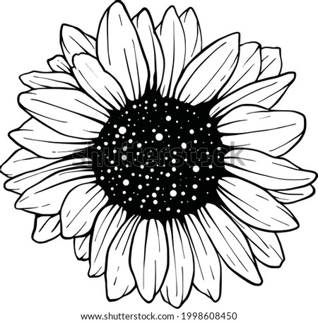 Black And White Sunflower Clipart | Free download on ClipArtMag