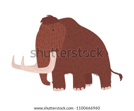 Cute woolly mammoth isolated on white background. Gorgeous extinct animal, giant prehistoric creature, herbivorous mammal with brown wool, trunk and tusks. Flat cartoon colorful vector illustration