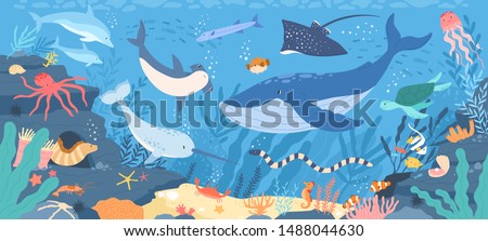 Fish and wild marine animals in ocean. Sea world dwellers, cute underwater creatures, coral reef inhabitants in their natural habitat, undersea fauna of tropics. Flat cartoon vector illustration.