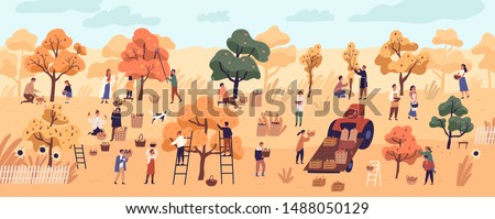 Smiling people gathering fruits in orchard or at farm. Cute happy young men and women picking apples in garden. Autumn harvest, seasonal agricultural work. Flat cartoon colorful vector illustration.