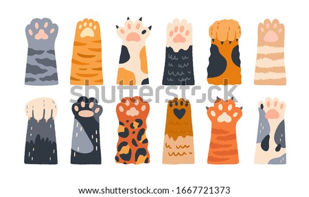 Different cartoon colored cat paws set vector graphic illustration. Collection of various cute cartoon domestic animal foot isolated on white background. Funny fur pet dangerous claws