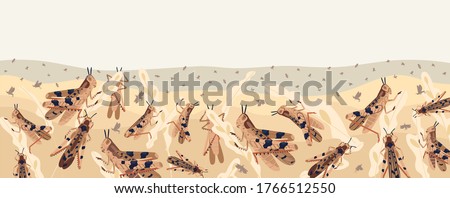 Colorful locusts attacking plants field horizontal background. Swarm of Insects threatening food security vector illustration. Large grasshoppers parasite on ripe seasonal seed head isolated on white