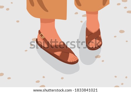Fashionable woman street strap sandals. Female feet in stylish elegant flat sole open toe footwear. Pair of summer street style brown footgear. Vector cartoon illustration