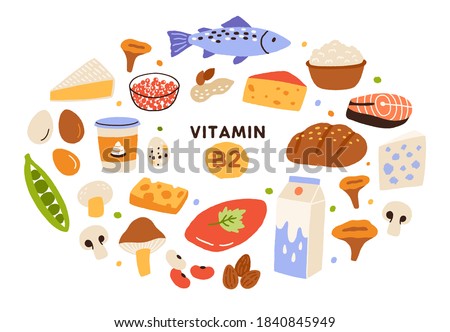 Collection of vitamin B2 sources. Food containing riboflavin. Cottage cheese, mushrooms, fish, dairy products, nuts. Dietetic products, organic nutrition. Flat vector cartoon illustration 商業照片 © 