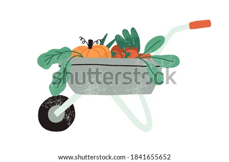 Local organic harvested crops in a wheelbarrow. Autumn vegetables in garden trolley. Harvest gathering time. Agricultural concept. Flat cartoon vector illustration isolated on white background