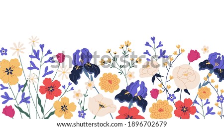 Border of gorgeous spring blooming flowers. Backdrop with iIrises, camomiles, roses, anemones and chrysanthemums. Floral flat vector illustration isolated on white background