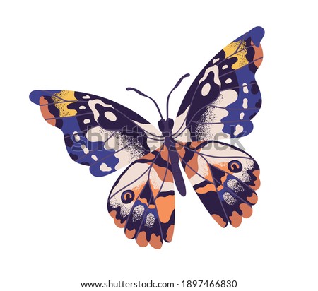 Tropical elegant butterfly with colorful wings and antennae isolated on white background. Pretty flying moth top view. Gorgeous exotic spring insect. Colored flat textured vector illustration