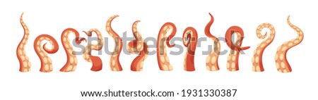 Set of octopus tentacles with suckers. Twisted long limbs of sea or ocean monsters. Arms of aquatic Kraken isolated on white background. Colored flat vector illustration of marine animal