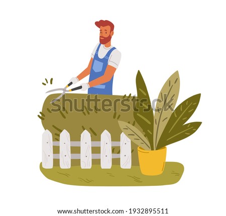 Garden worker pruning hedge with pruners or garden shears. Man working with shrubs in backyard. Colored flat vector illustration of professional gardener in uniform isolated on white background