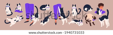 Cat's body language. Feline behavior and feelings. Cute pets with angry, friendly, calm, playful and scared emotions. Kittens relaxing, asking for food and lying belly up. Flat vector illustration