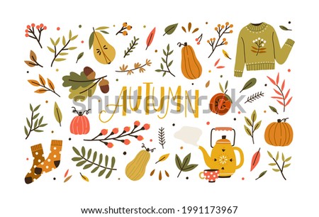 Autumn bundle of cute and cozy design elements. Set of fall twigs with leaves, foliage, berries, pumpkins, sweater, socks and tea cup. Colored flat vector illustration isolated on white background