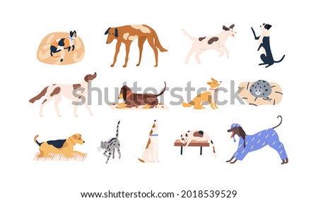 Set of cute pets. Adorable cats, dogs of different breeds. Collection of funny feline and canine animals. Colored flat vector illustration of kitties and doggies isolated on white background