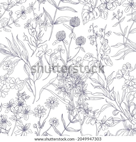 Outlined botanical pattern with wild flowers. Seamless repeating floral background with herbs print. Black and white vintage texture with herbal field plants, wildflowers. Drawn vector illustration