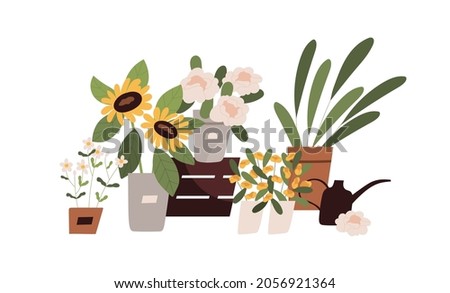 Blooming flowers, foliage plants and floral bouquets composition. Blossomed flora in pots, vases and buckets. Colored flat vector illustration modern beautiful lovely buds isolated on white background