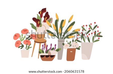 Fresh blossomed flowers, spring floral plants in buckets, vases and pots. Blooming flora composition with cut tulips and peonies in flowershop. Flat vector illustration isolated on white background