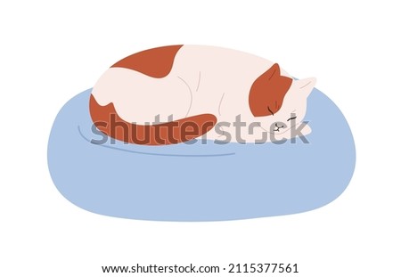 Cute cat sleeping on pet cushion. Kitty asleep, lying on soft cozy pillow. Comfortable home animals furniture for felines. Kitten relaxing. Flat vector illustration isolated on white background