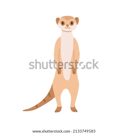 Meerkat from African savanna. Cute smiling suricate. Wild exotic small Suricata suricatta. Tropical habitant standing on hind legs. Flat vector illustration isolated on white background