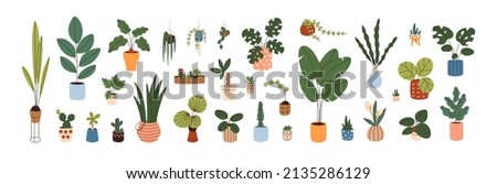 Potted plants set. Interior houseplants in planters, baskets, flowerpots. Home indoor green decor. Different succulents, cacti, foliage. Flat graphic vector illustrations isolated on white background