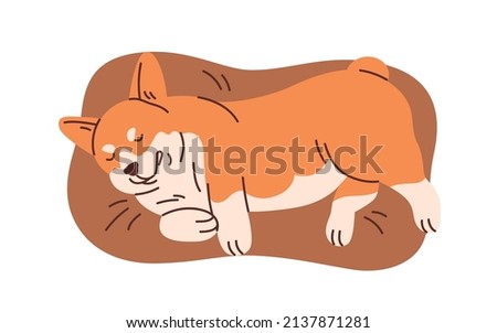 Cute corgi sleeping on pet s bed, soft pillow. Adorable funny sleepy puppy dreaming, lying and relaxing on doggy cushion, top view. Flat graphic vector illustration isolated on white background