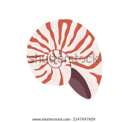 Snail seashell. Marine underwater swirled sea shell of round spiral shape. Undersea mollusc. Mollusk, shellfish. Under water bicolor striped clam. Flat vector illustration isolated on white background