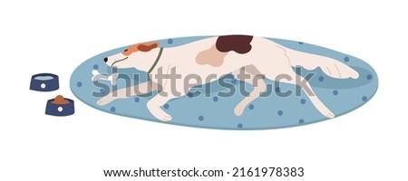 Dog lying, relaxing on rug. Tired canine animal of sighthound breed resting, sleeping on mat. Passive sluggish gazehound doggy on floor. Flat vector illustration isolated on white background