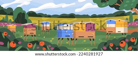 Apiary with bee hives and flying honeybees. Summer rural countryside landscape panorama with beehives boxes, garden, meadow flowers for pollination. Apiculture, beekeeping. Flat vector illustration