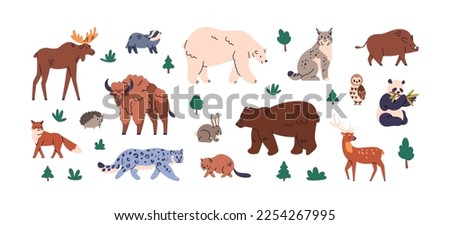 Wild animals, Eurasian fauna set. European wildlife species. Bear, fox, elk, moose, lynx, boar, deer, snow leopard and bison mammals. Childish flat vector illustrations isolated on white background