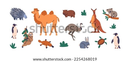 Wild Australian animals set. Exotic wildlife, south fauna of Australia. Different species, kangaroo, koala, camel, ostrich, sloth and penguin. Flat vector illustrations isolated on white background