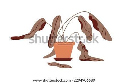 Dead withered plant in pot. Ailing dying droopy sick houseplant with wilted damaged dry leaves, dehydrated leaf. Result of bad wrong care. Flat vector illustration isolated on white background