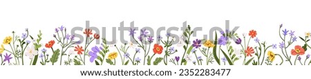 Flowers border. Spring and summer floral plants, garden and meadow blooms. Horizontal botanical decoration. Wildflowers, nature banner. Flat graphic vector illustration isolated on white background