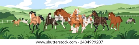 thoroughbred horses herd at equine ranch. Stallions group frolicking outdoors at farm. Many domestic animals of different breed at countryside, rural landscape panorama. Flat vector illustration