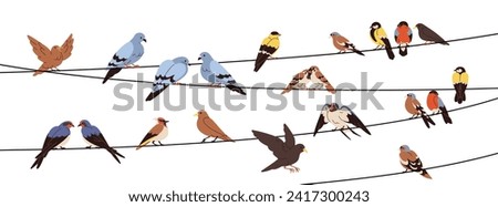 Birds sitting on wires, perching on electric lines, strings. Spring feathered animals group landing. Different species resting on cables. Flat graphic vector illustration isolated on white background