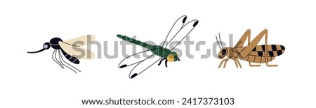 Mosquito, dragonfly, grasshopper. Summer insects set. Small fauna, little animal species. Gnat, bush cricket, dragon-fly. Flat vector illustrations isolated on white background