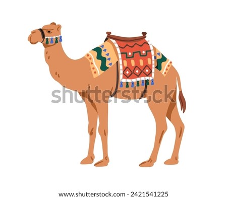 Arabian camel, desert domestic bedoin animal decorated with textile saddle. Arabic mammal profile, standing with traditional fabric decor on hump. Flat vector illustration isolated on white background