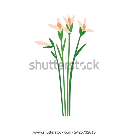 Similar – Image, Stock Photo Flower stalks of wild carrot from frog perspective in wonderful backlight on a summer evening.