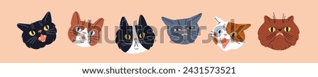Cute shocked cats, feline heads set. Funny amazed surprised puzzled kitties looking, staring with astonished emotion, expression. Ridiculous meme kitten emojis. Isolated flat vector illustrations