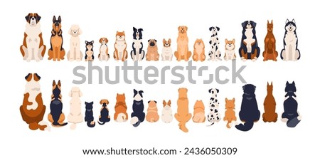 Dogs border, front and back rear views, tails. Canine animal breeds in line, sitting in row. Many different doggies, cute puppies. Flat graphic vector illustration isolated on white background