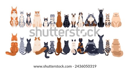 Cats row of different breeds, front and back rear views, tails. Cute feline animals sitting in line, horizontal border. Many kitties, pussycats. Flat vector illustration isolated on white background